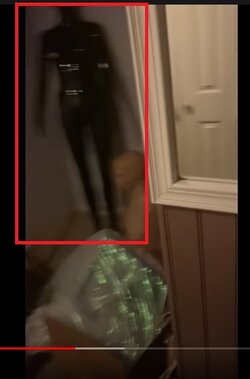 ContraPointsCovid19getawaymansionBDSMsuit.jpg