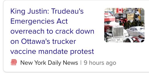 Screenshot_20220219-113516_DuckDuckGo.jpg