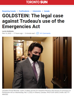 legal case.png