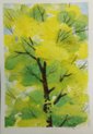 spring tree.jpg
