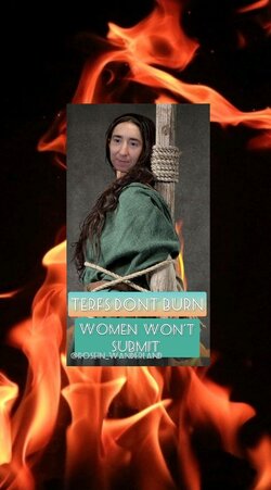 sierra cringe 2.jpg