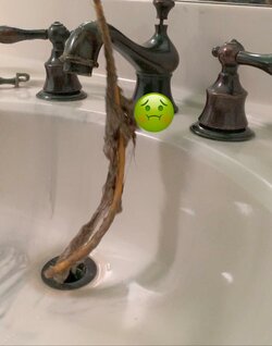 Nasty-Drain.jpeg