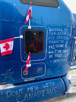 ViziOtherTruckerIncoming.jpg
