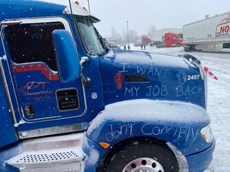 ViziOtherTruckerIncoming3.jpg