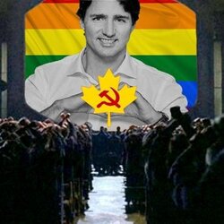 LeafSoc.jpg