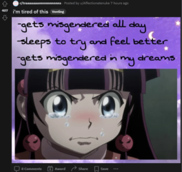 1645487209251.png
