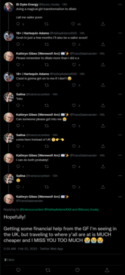 Screenshot 2022-02-22 at 18-54-18 Kathryn Gibes (Werewolf Arc) 🏳️‍⚧️✨ on Twitter.png