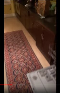 ContraPointsCovid19getawaymansionKitchenRugUgh.jpg