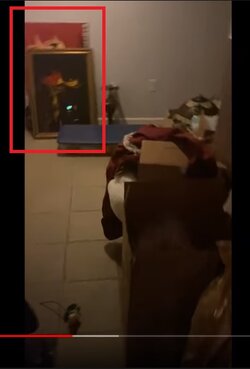 ContraPointsCovid19getawaymansionPaintings.jpg