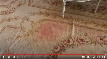 ContraPointsCovid19getawaymansionRUINEDCarpet.jpg