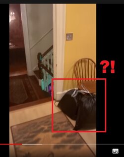 ContraPointsCovid19getawaymansionTRASH.jpg ContraPointsCovid19getawaymansionTRASH.jpg