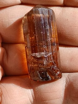 20220219_143926 (1).jpg