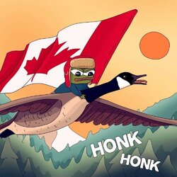 we honk at dawn.jpeg