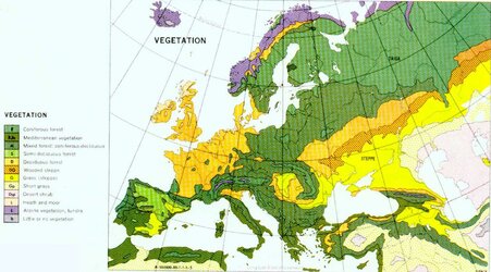 glie0fxm2nx21.jpg
