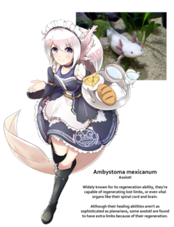 1645651824176.png