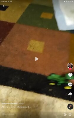 Screenshot_20220223-140626_TikTok.jpg