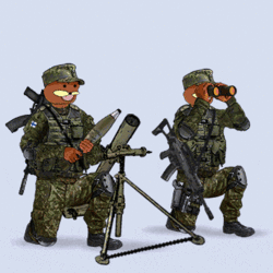 1644860891938.gif