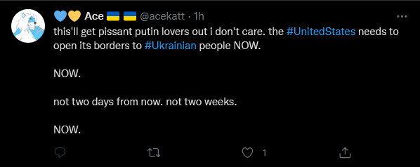 Screenshot 2022-02-24 at 15-23-17 💙💛 Ace 🇺🇦 🇺🇦 ( acekatt) Twitter.png