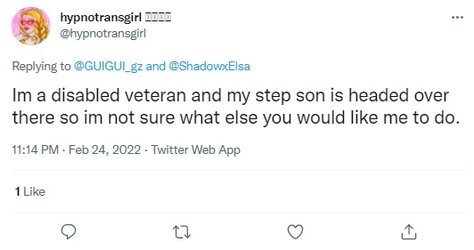 BimboImADisabledVetMahSonIsTheSoldierNaw.jpg
