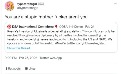 BimboDSAStupidMF.jpg