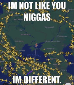 meme (2).png