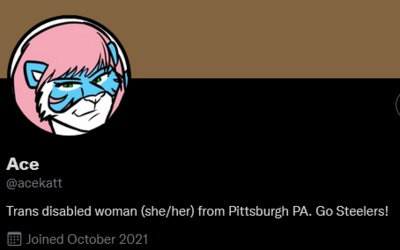 Screenshot 2022-02-26 at 07-22-08 Ace ( acekatt) Twitter.png