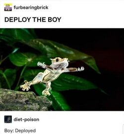 D6D0B396-47B7-4F0A-8680-E49DF289BE43.jpeg