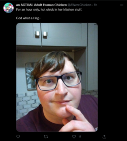 Screenshot 2022-02-26 at 10-06-01 an ACTUAL Adult Human Chicken ( AWereChicken) Twitter.png