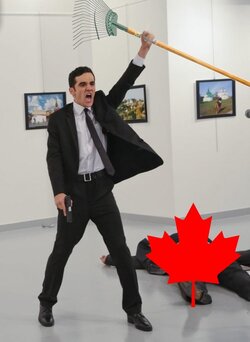 rake.jpg