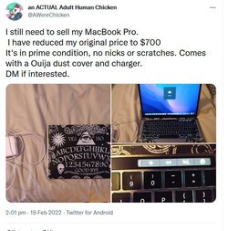 untitled4.jpg