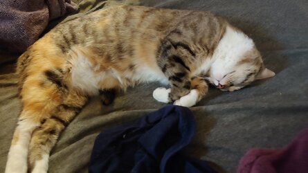 BE25C328-F5AB-473D-A885-A49F062A0AA2.jpeg