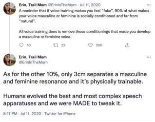Erin incel sperging about voices.png