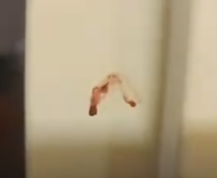 1646104547221.png