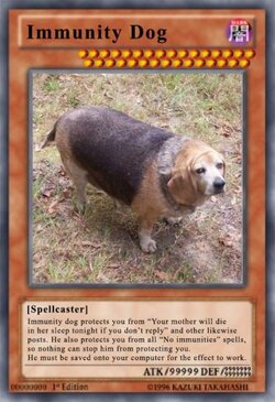 immunity_dog.jpg