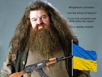 Rubeus-Hagrid-Wallpaper-hogwarts-professors-32796370-1024-768.jpg