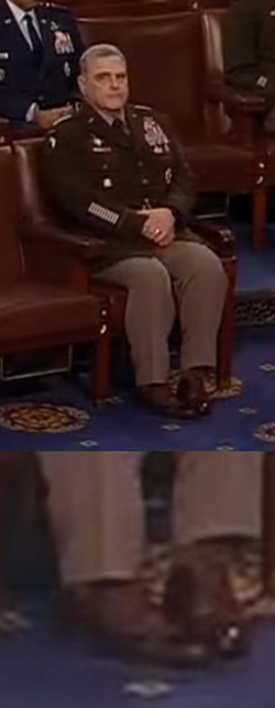 feet.png