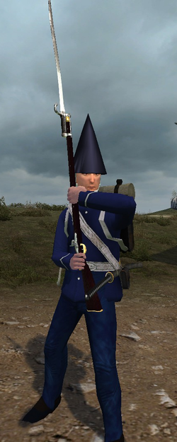 satsumalevy.png