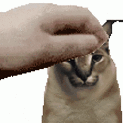tenor (1).gif