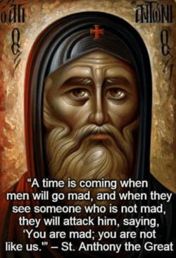 1646280922497.png