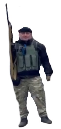 fatlilpenguin.png