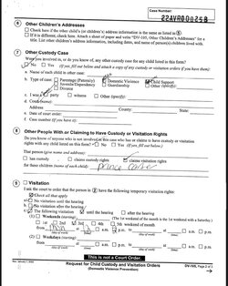 Feb 28 2022 Request for Domestic Violence Restraining Order - Melanie Martin 16.jpg