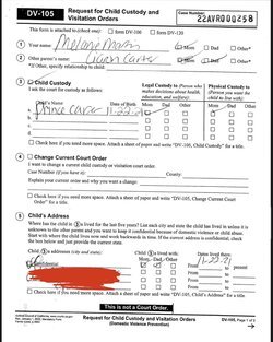 Feb 28 2022 Request for Domestic Violence Restraining Order - Melanie Martin 15.jpg