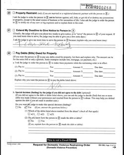 Feb 28 2022 Request for Domestic Violence Restraining Order - Melanie Martin 10.jpg
