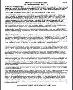 Feb 23 2022 - Request for Domestic Violence Restraining Order - Aaron Carter 21.jpg