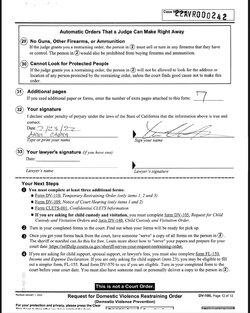 Feb 23 2022 - Request for Domestic Violence Restraining Order - Aaron Carter 12.jpg