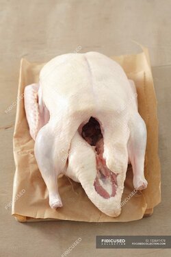 focused_153641478-stock-photo-whole-raw-chicken.jpg