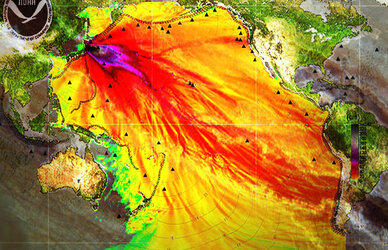fukushima.jpg