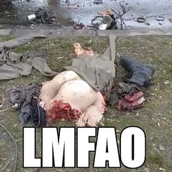 1646374451358.png