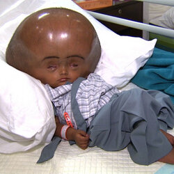 babbyrancid.jpg