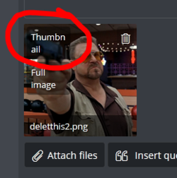 1.PNG